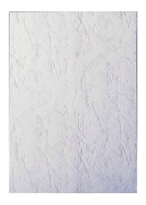 Обкладинки для палітурки Agent А3 картонні білі (25 штук) (1520361) фото №1