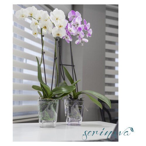 Горщик для орхідеї Serinova Orchid 0.7 л прозорий фото №2