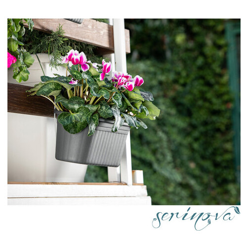 Горщик для квітів балконний Serinova підвісний Camellia 3 л антрацитовий фото №3
