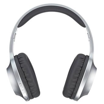 Навушники Panasonic Gray (RB-HX220BEES) фото №2