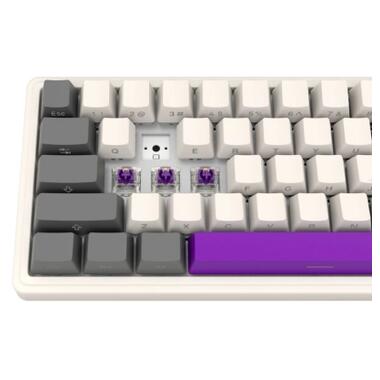 Клавіатура Lorgar KBP70MW Pro RGB Wireless/Bluetooth/USB UA Beige (LRG-KBP70MW-RT-US) фото №9