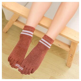 Шкарпетки на кожен палець Джентл Coco Lauderly 36-40 теракота фото №1