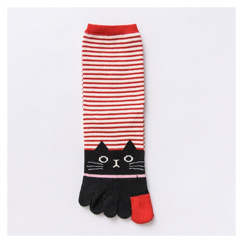 Шкарпетки LifeFLUX з пальцями Кіт Баюн Kiki Sox 37-39 фото №1