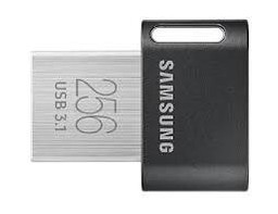 USB флеш накопичувач Samsung 256GB FIT PLUS USB 3.1 (MUF-256AB/APC) фото №1