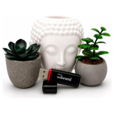 USB флеш накопитель Wibrand 64GB Scarab Black USB 3.2 (WI3.2/SC64P11B) фото №4