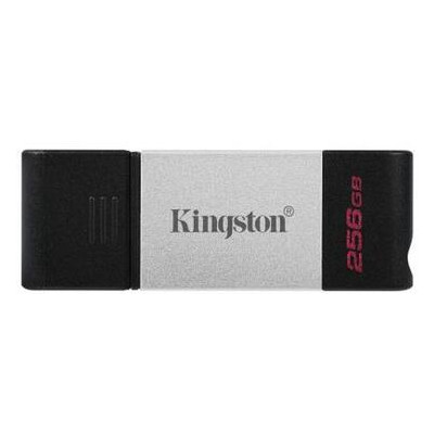 USB флеш накопичувач Kingston 256GB DataTraveler 80 USB 3.2/Type-C (DT80/256GB) фото №1