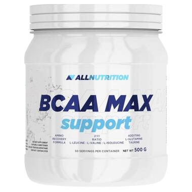 Амінокислоти All Nutrition BCAA Max 500 g orange фото №1