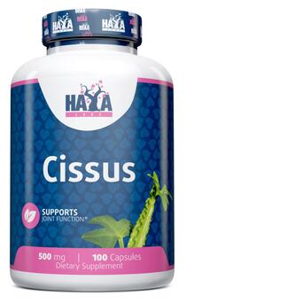 Вітамін Haya Labs Cissus 500 mg 100 капсул фото №1