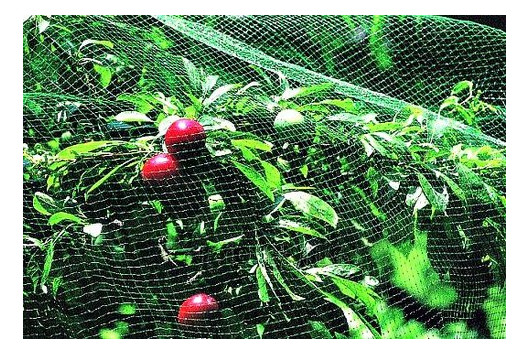 Сітки для захисту врожаю Tenax Ортофлекс фасована 2 х 10 зелена фото №3