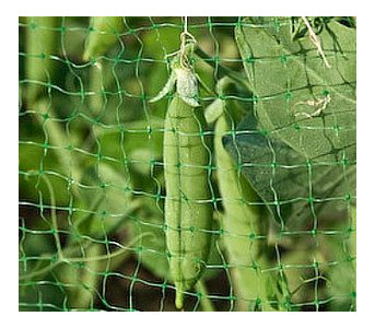 Сітки для захисту врожаю Tenax Ортофлекс фасована 2 х 10 зелена фото №2