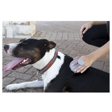 БрашБустер щітка для купання собак (блак.) DEXAS (0084297309442) (PW7402194) фото №4