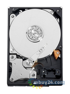 Жорсткий диск WD AV-GP 500GB (WD5000AVCS) фото №1