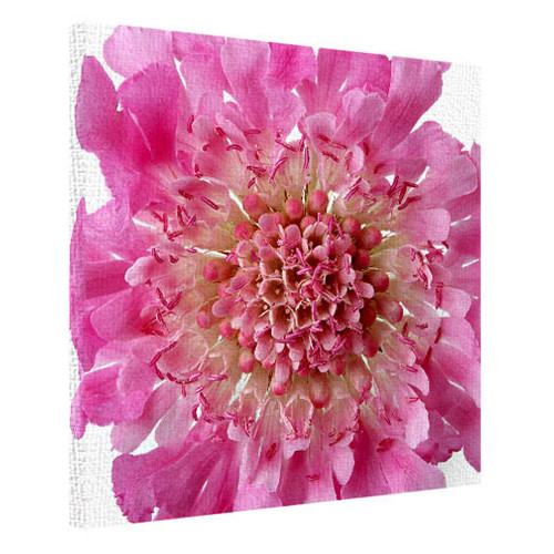 Картина на тканині 50х50 см Рожева квітка H5050_TSV015 фото №1