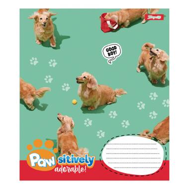 Тетрадь 1 вересня Pawsitively А5, 18 листов, в линейку (768239) фото №3