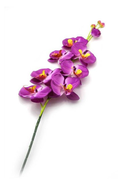 Цветок Даршан орхидеи 90 см (19317) фото №1