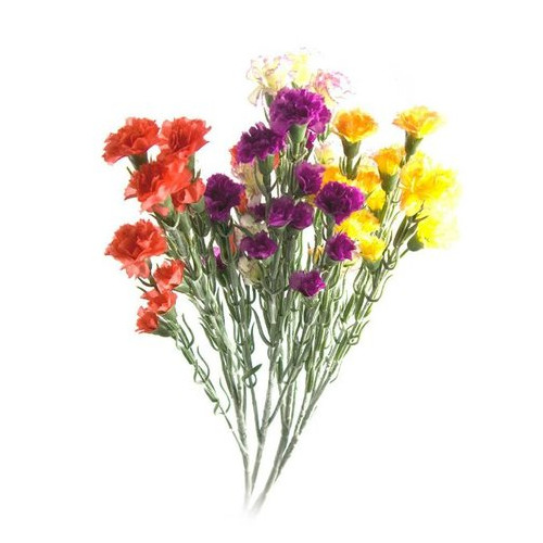 Цветы Даршан Гвоздика 60 см (26423) фото №1