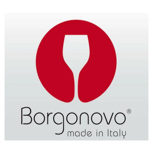 Глек Borgonovo для напоїв з кришкою Igloo 500 мл фото №2