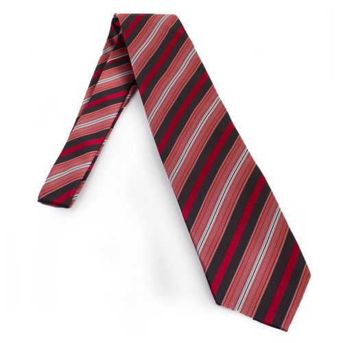 Краватка чоловіча Schoenau&Houcken FAREPS-68 фото №2