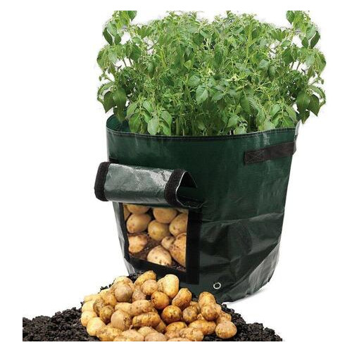 Плантатор Supretto для вирощування картоплі зелений (CZ276036) фото №3