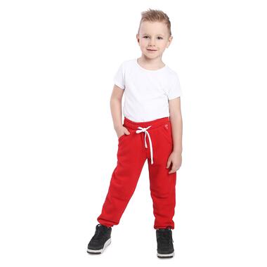Спортивні штани Timbo Blake р.30 (6-7 років) 122 см Червоний (H075778) фото №1