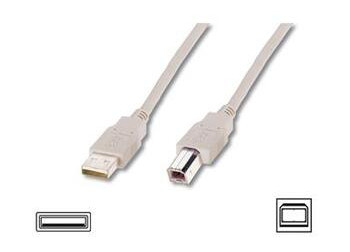 Дата кабель DIGITUS USB 2.0 (AM/BM) 3 м biege (AK-300102-030-E) фото №1