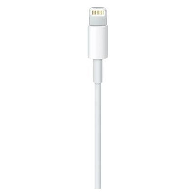 Дата кабель Apple Lightning - USB 2 м білий (MD819ZM/A) фото №1