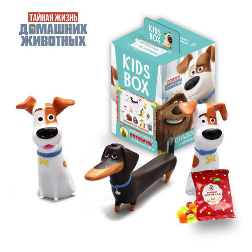 Світбокс Sweetbox Kids Box Таємне життя домашніх тварин із двома іграшками фото №1