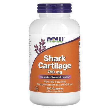 Добавка NOW Shark Cartilage 750 mg 300 caps фото №1