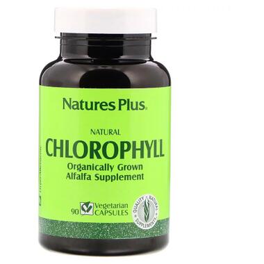Трави Natures Plus Органічний Хлорофіл Natural Chlorophyll 90 капсул (NAP-01080) фото №1