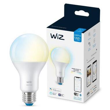 Розумна лампа WiZ E27 13W (100W 1520Lm) A67 2700-6500K Wi-Fi (929002449602) фото №1