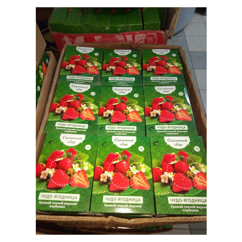 Чудо-ягодница Сказочный сбор – набор для выращивания клубники на подоконнике фото №1
