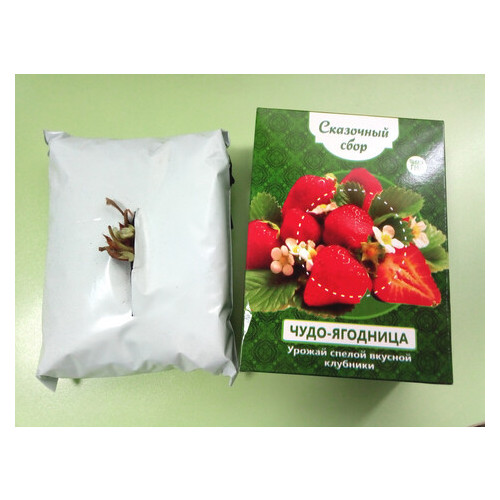 Чудо-ягодница Сказочный сбор – набор для выращивания клубники на подоконнике фото №2