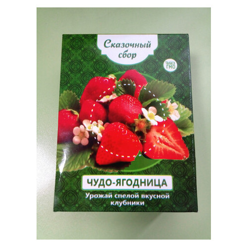 Чудо-ягодница Сказочный сбор – набор для выращивания клубники на подоконнике фото №3