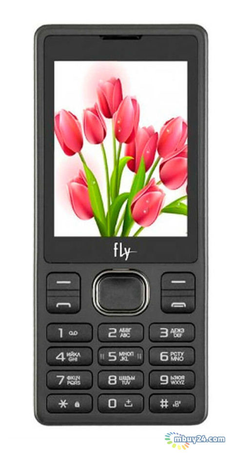 Мобільний телефон Fly FF282 Black фото №1