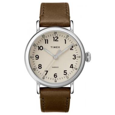 Чоловічий годинник Timex Standard (Tx2t20100) фото №1