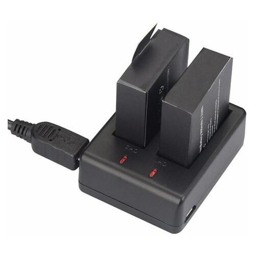 Зарядное устройство для двух аккумуляторов BC-SJ4000C экшн камер 4.2V 0.75A от сети, повербанка Черный фото №2