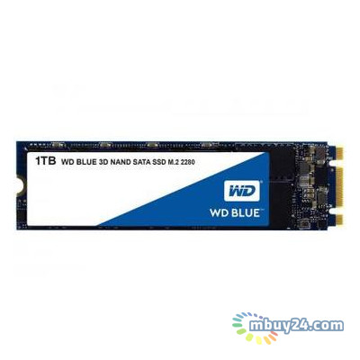 Накопитель SSD Western Digital M.2 2280 1TB (WDS100T2B0B) фото №1