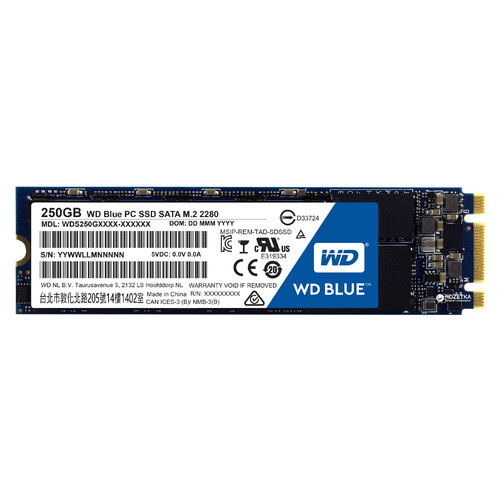 Накопичувач SSD Western Digital Blue 250GB WDS250G2B0B фото №1