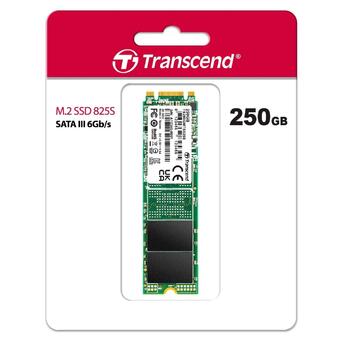 Накопичувач SSD Transcend M.2 250GB SATA 825S (TS250GMTS825S) фото №2