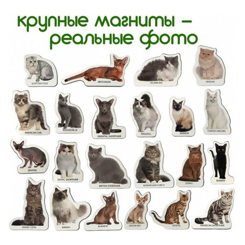 Набір магнітів Magdum Породи котів (ML4031-13 EN) фото №5