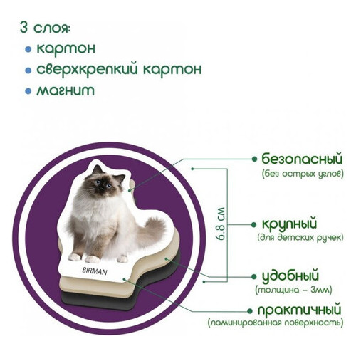 Набір магнітів Magdum Породи котів (ML4031-13 EN) фото №6