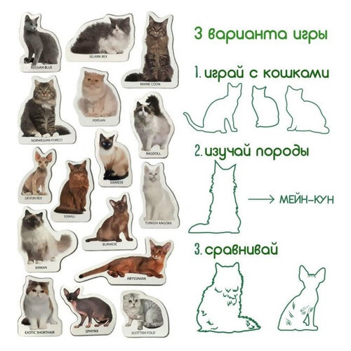 Набір магнітів Magdum Породи котів (ML4031-13 EN) фото №7