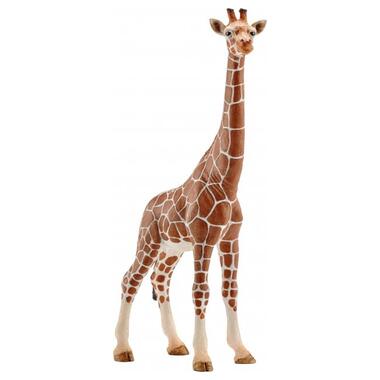 Іграшка-фігурка Schleich Жирафа самка фото №1