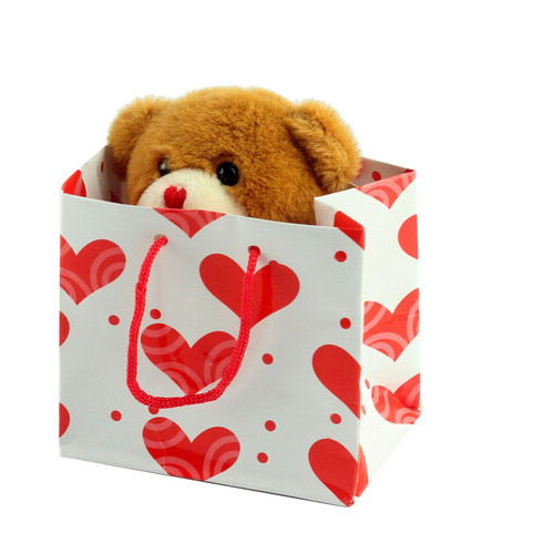 Ведмедик коричневий плюшевий у подарунковій упаковці фото №1