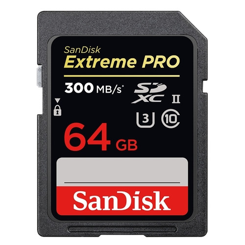 Карта памяти SanDisk SDSDXPK-064G-GN4IN 64 GB  фото №1