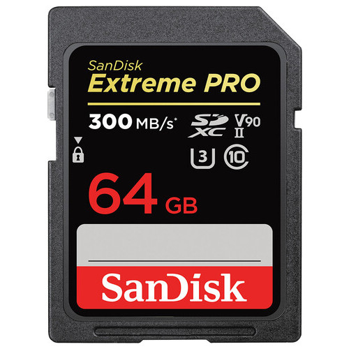 Карта пам'яті SanDisk SDXC Extreme 64GB Class 10 UHS-I (U3) R-300MB/s Без адаптера (SDSDXDK-064G-GN4IN) фото №2