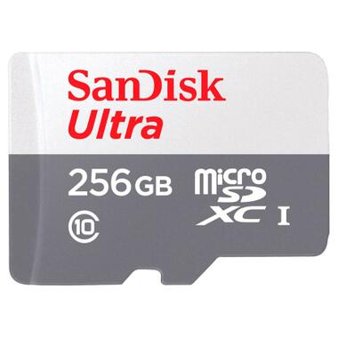 Карта пам'яті SanDisk 256GB microSDXC class 10 UHS-I Ultra (SDSQUNR-256G-GN3MN) фото №1