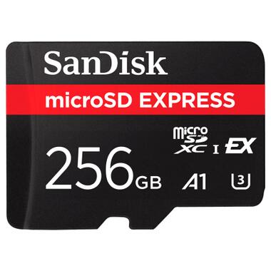 Карта памяти SanDisk 256GB microSDXC class 10 UHS-I U3 A1 Express (SDSQXFN-256G-GN4NN) фото №1