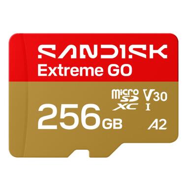 Карта памяти SanDisk 256GB microSDXC class 10 UHS-I Extreme GO (SDSQXGN-256G-GN6MN) фото №1