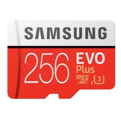 Карта памяти Samsung 256GB microSDXC class 10 UHS-I U1 Evo Plus V2 (MB-MC256HA/RU) фото №1